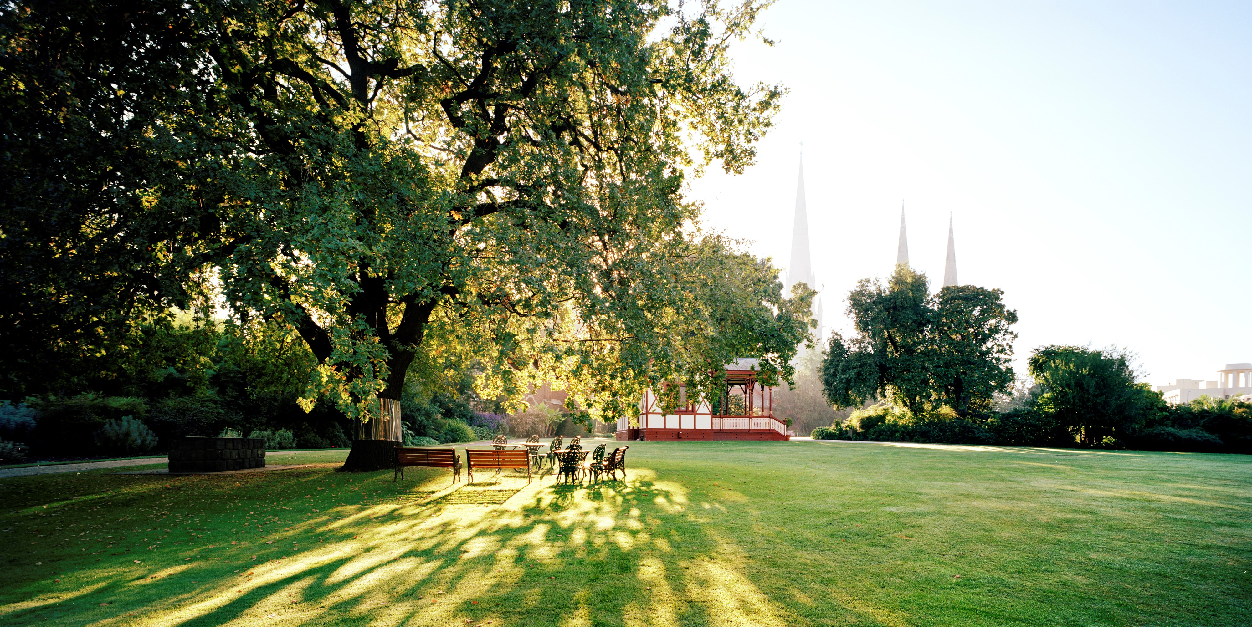 A misty early morning on a green lawn in the garden. Chairs and tables are grouped under a large tree. Sunlight is streaming through the branches and casting shadows on the grass.  A pavilion can be seen in the background, and  in the distance there is three church spires. 
