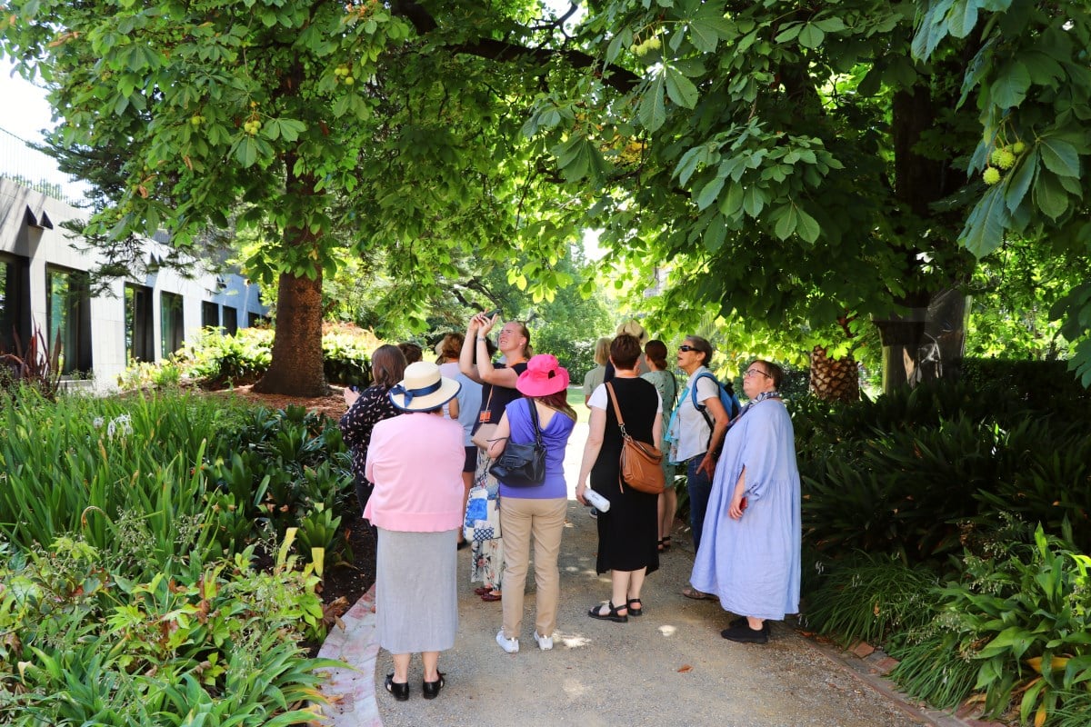 A group of people walks along a path covered by trees, admiring the Parliament garden.