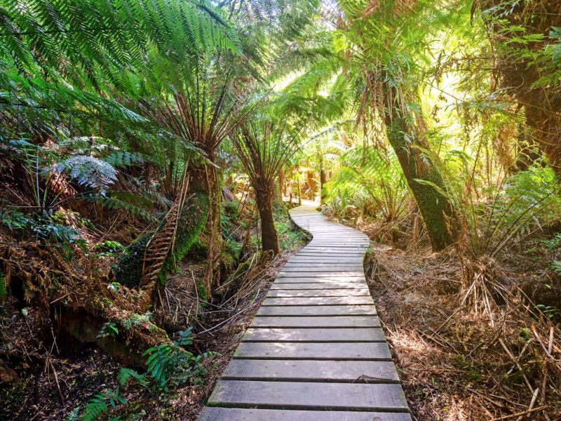 A petition opposing the creation of new national parks gained more than 40,000 signatures.