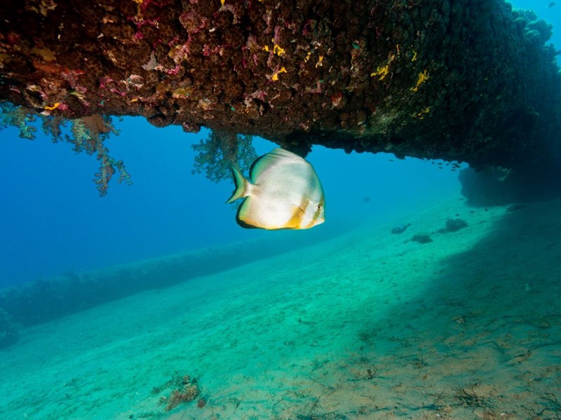 Inquiry hears pipelines pose environmental risk