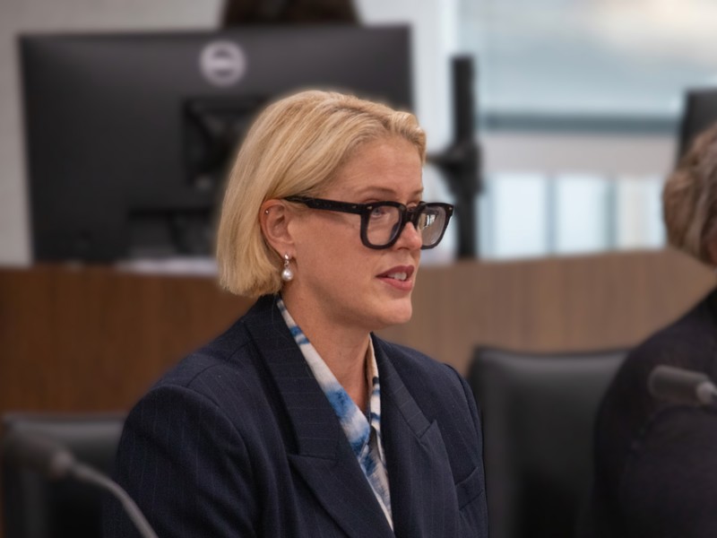 Victorian Ombudsman Marlo Baragwanath appearing at the 2 March hearing