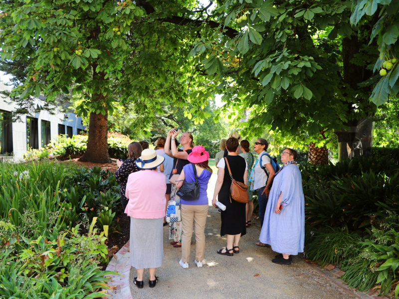 Admire an array of flora, both native and Victorian-era exotica, while you stroll along the winding pathways and wide sweeping lawns.