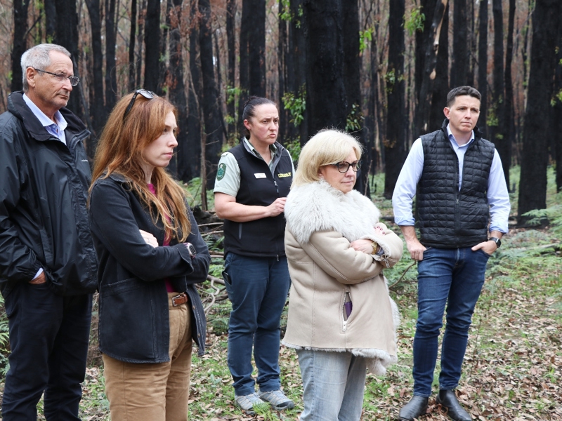 Fires ignite impassioned response from regional communities