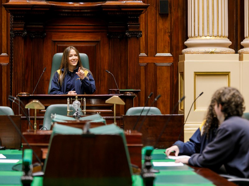 Parliamentary role play 