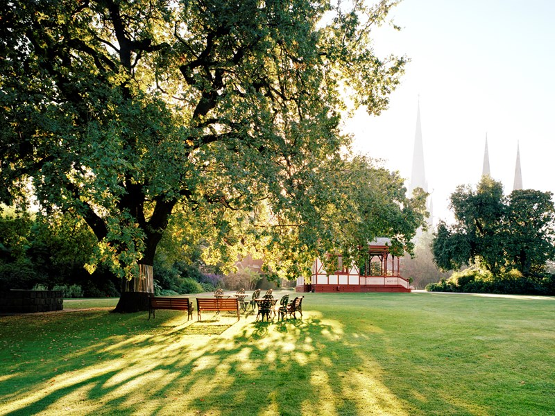 A misty early morning on a green lawn in the garden. Chairs and tables are grouped under a large tree. Sunlight is streaming through the branches and casting shadows on the grass.  A pavilion can be seen in the background, and  in the distance there is three church spires. 