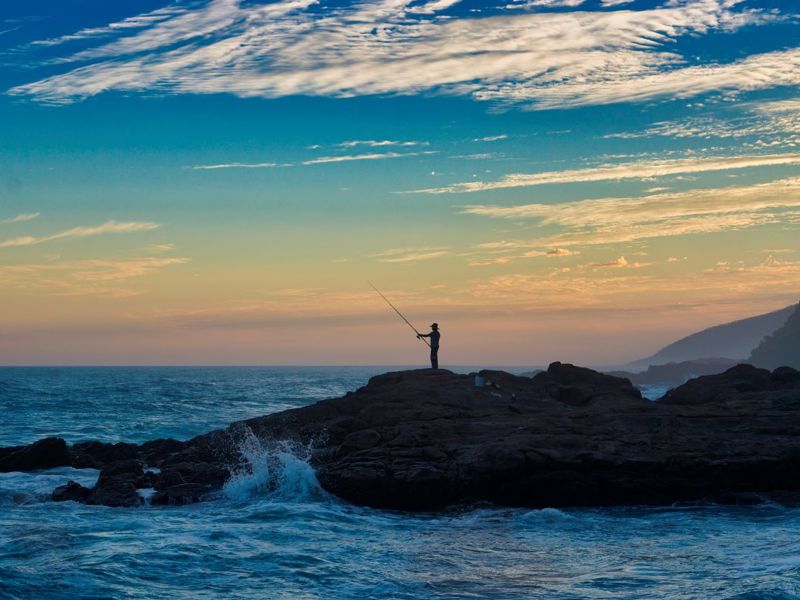 Recreational fishing and boating contributed $5.82 billion to the Victorian economy in 2019.