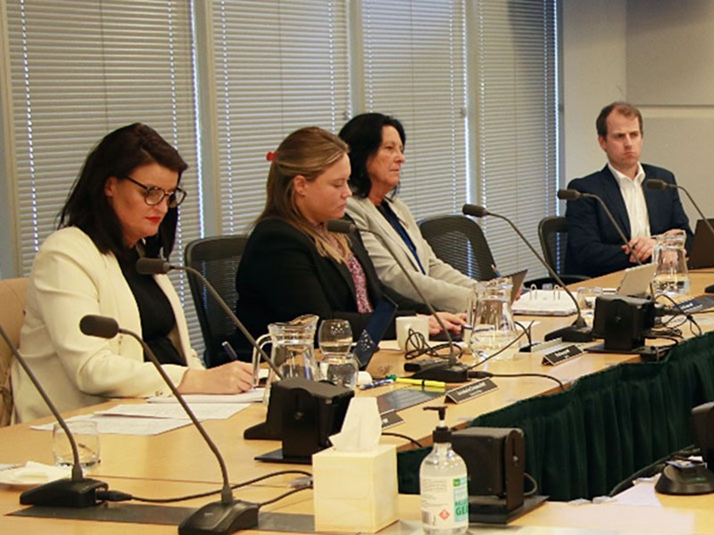 Committee members in a meeting