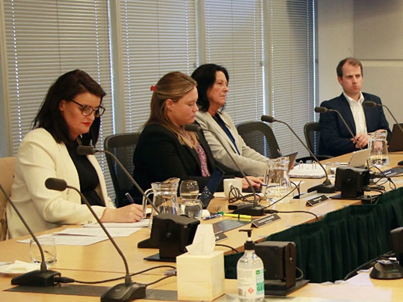 Committee members in a meeting