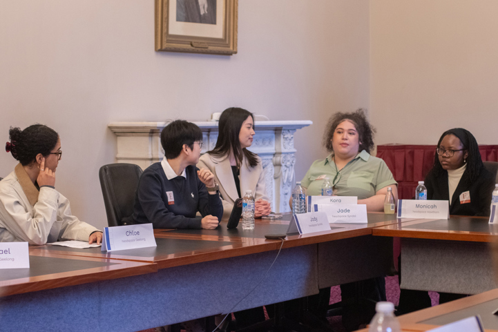 Young people from headspace speaking at roundtable of MPs.