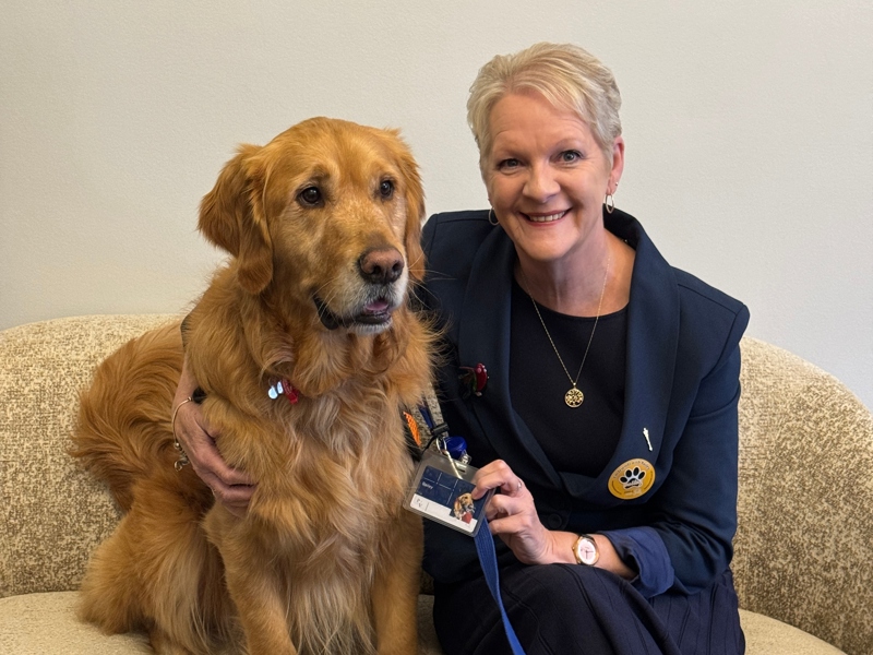 The five-year-old Golden Retriever had a special security pass for his visit, which included meeting Legislative Assembly Speaker Maree Edwards.