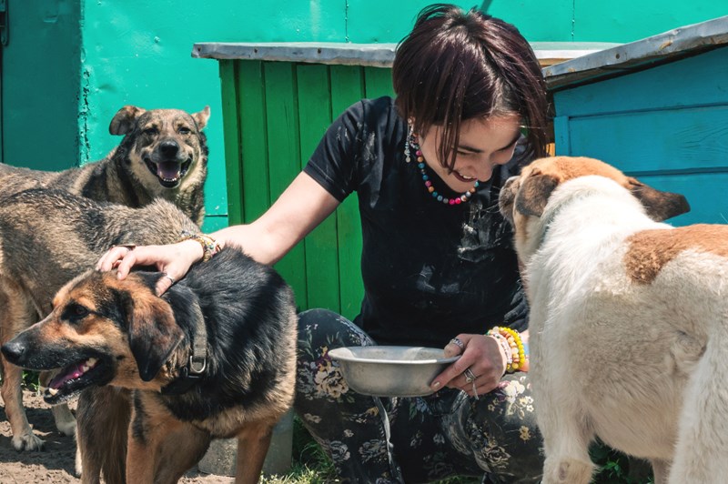 Pet rehoming sector is the focus of legislation being considered by Parliament.