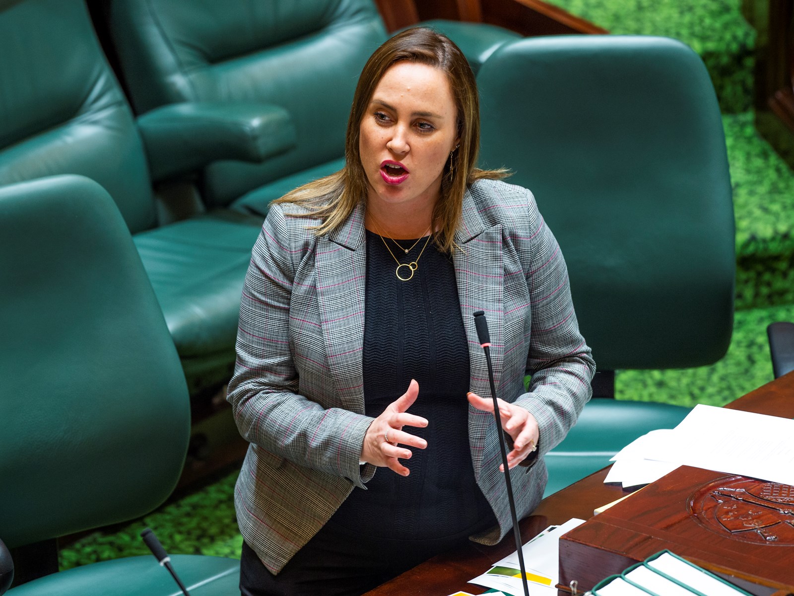 Legislative Assembly sitting Parliament of Victoria