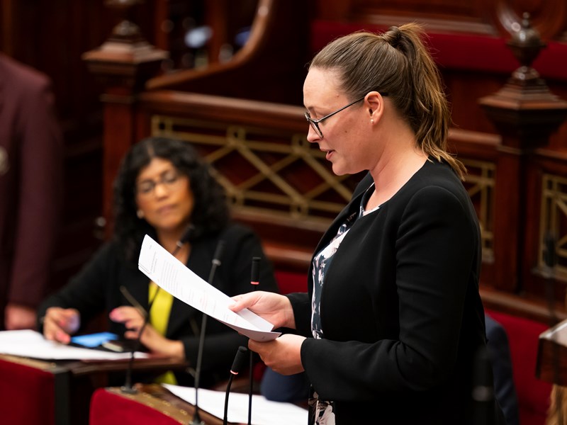 Legislative Council sitting