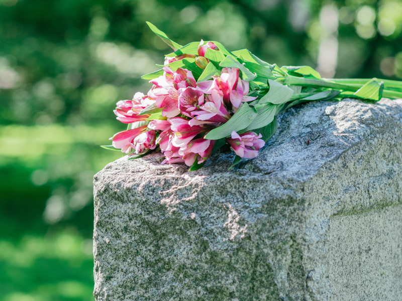 Pet burials in human cemeteries