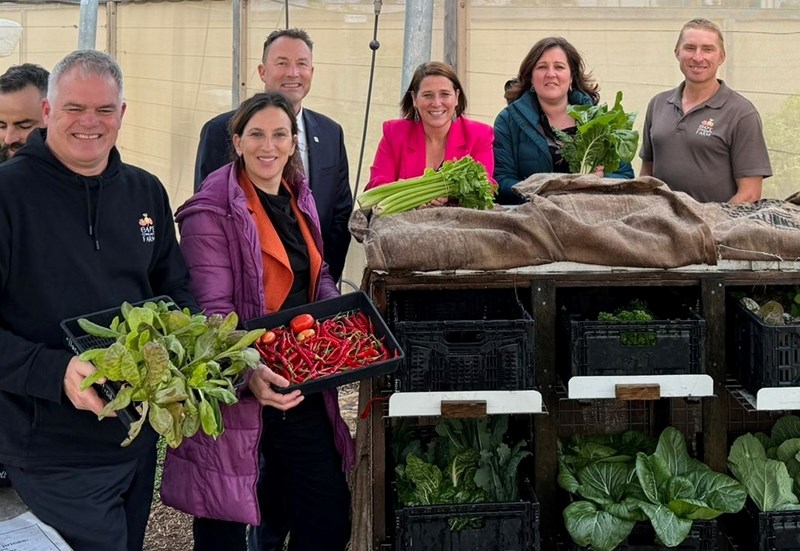 Inquiry report is food for thought